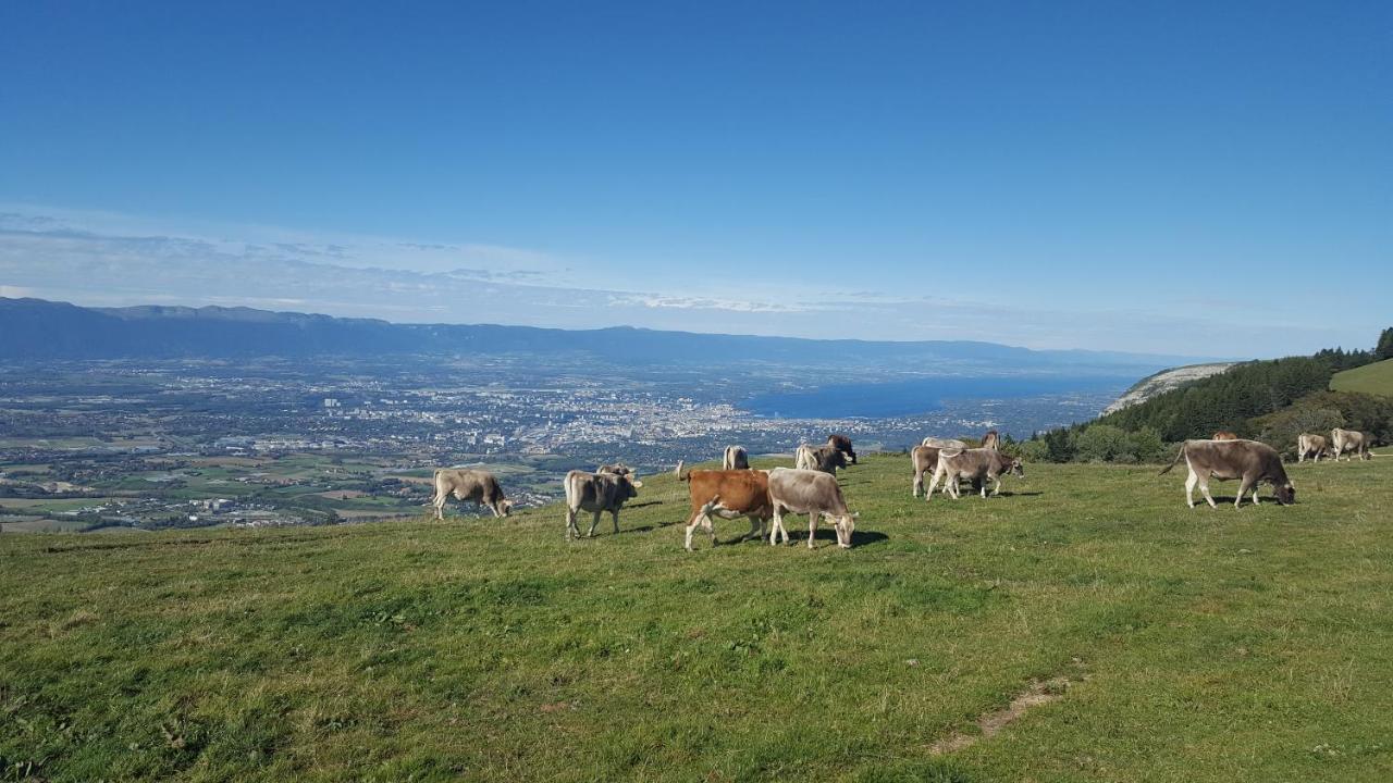 Appartement Au Calme Avec Terrasse Verdoyante Entre Annecy Et Geneve Villy-le-Pelloux Exterior photo